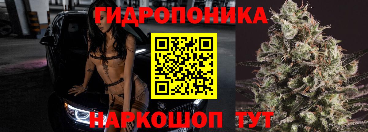 МАРИХУАНА сатива  Вход с VPN  Сальск  Канабис OG Kush  МАРИХУАНА гибрид 